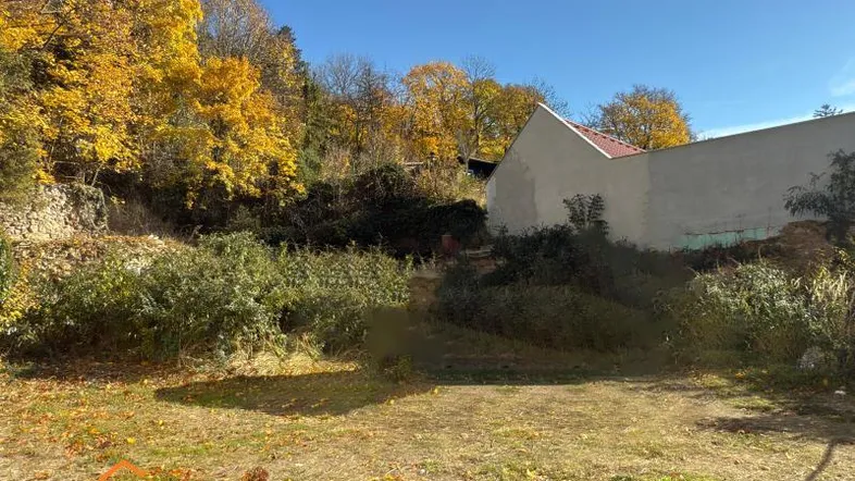 Grundstück mit herbstlicher Vegetation und einem Gebäude im Hintergrund unter blauem Himmel.