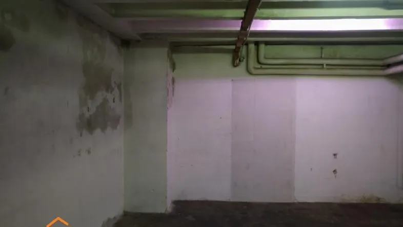 Geräumiger Kellerraum mit sichtbaren Rohren und einfacher Beleuchtung, ideal als Lagerfläche.
