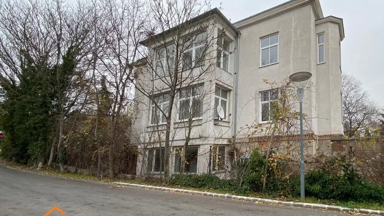 Klassisches Gebäude mit grauer Fassade und hohen Fenstern, umgeben von Bäumen an einer Straße.