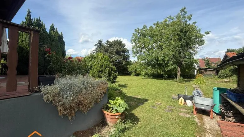 Weitläufiger Garten mit altem Baumbestand und viel Grünfläche unter sonnigem Himmel.