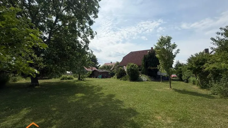 Großer grüner Garten mit Rasenfläche und Bäumen, ideal zum Entspannen im Freien.