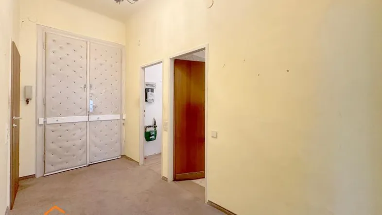 Geräumiger Eingangsbereich mit Teppichboden, hohen Decken und einer klassischen Deckenleuchte.