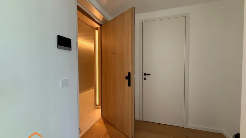 Heller Eingangsbereich mit Holzboden und zwei modernen Türen, die zu weiteren Räumen führen.