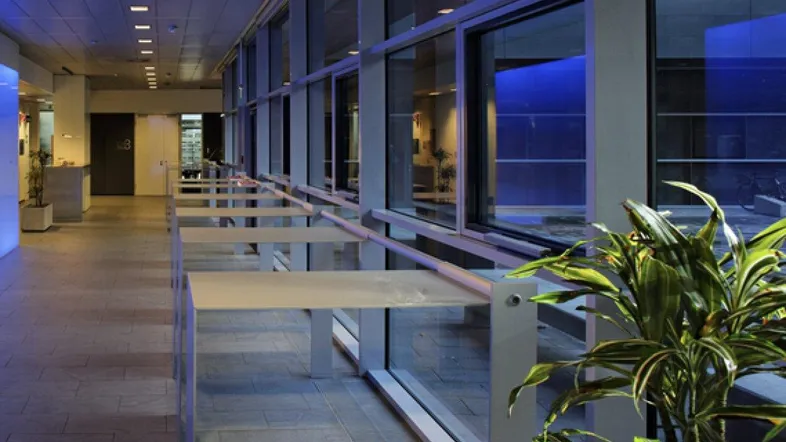 Moderner Bürogang mit großen Fenstern, die viel Tageslicht hereinlassen, und einer dekorativen Pflanze.