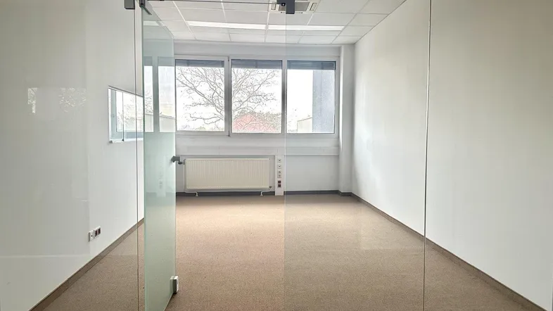 Helles Büro mit Teppichboden, großen Fenstern und Glaswänden für eine moderne Arbeitsumgebung.