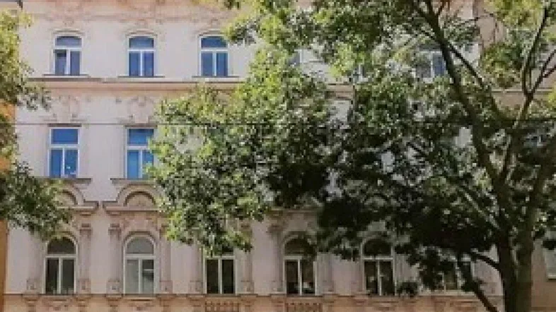 Historische Fassade eines Altbaus mit reich verzierten Fenstern und Stuckelementen, umgeben von Bäumen.