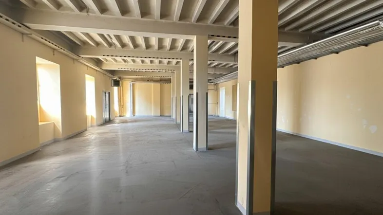 Großer, leerer Gewerberaum mit vielen Säulen, hohen Decken und Betonboden, ideal für vielfältige Nutzung.