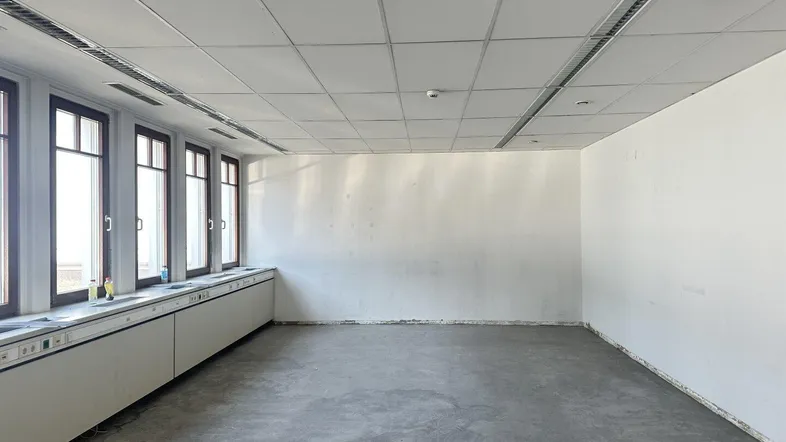Geräumiger, leerer Büroraum mit vielen Fenstern, abgehängter Decke und Betonboden, bereit für den Ausbau.