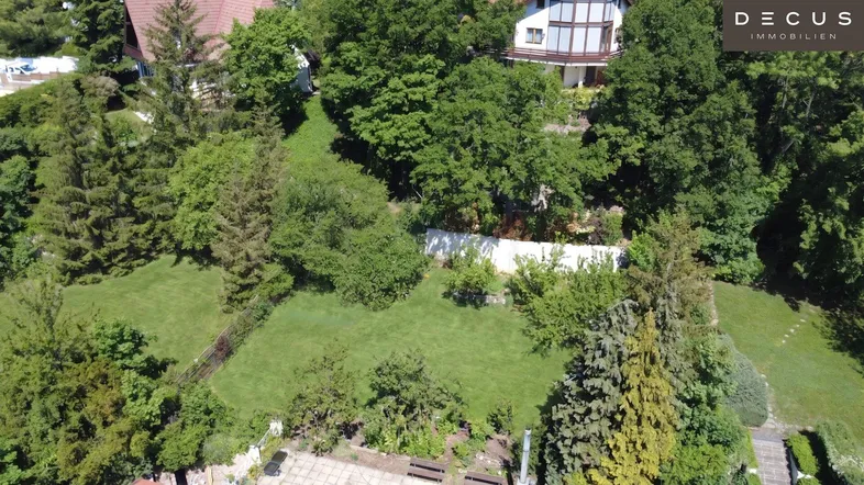 Gepflegter Gartenbereich mit Rasenflächen, Bäumen und Sträuchern, umgeben von weiterer Vegetation.