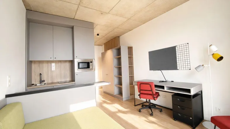 Modernes Studio-Apartment mit integrierter Küchenzeile, Schreibtisch und hellem Wohnbereich.
