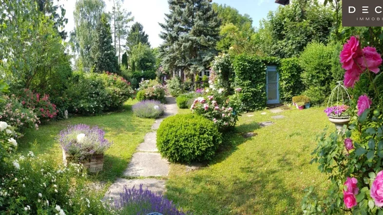 Panoramablick auf einen üppigen Garten mit Rasenflächen, blühenden Sträuchern und einem gewundenen Steinweg.
