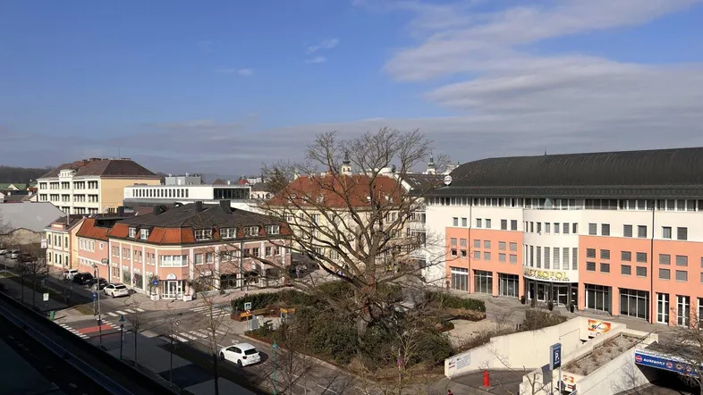 Weitläufiger Blick über die Stadt mit verschiedenen Gebäuden und einem großen Baum im Zentrum.