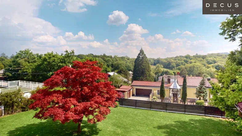 Gepflegter Garten mit einem auffälligen roten Baum und Blick auf das Haus und die grüne Umgebung.