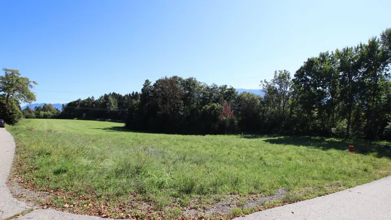 Schöner, großer und flacher 1.850m² Baugrund in Ludmannsdorf - Lukowitz