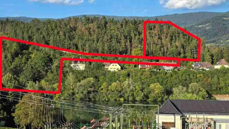 2 Waldstücke