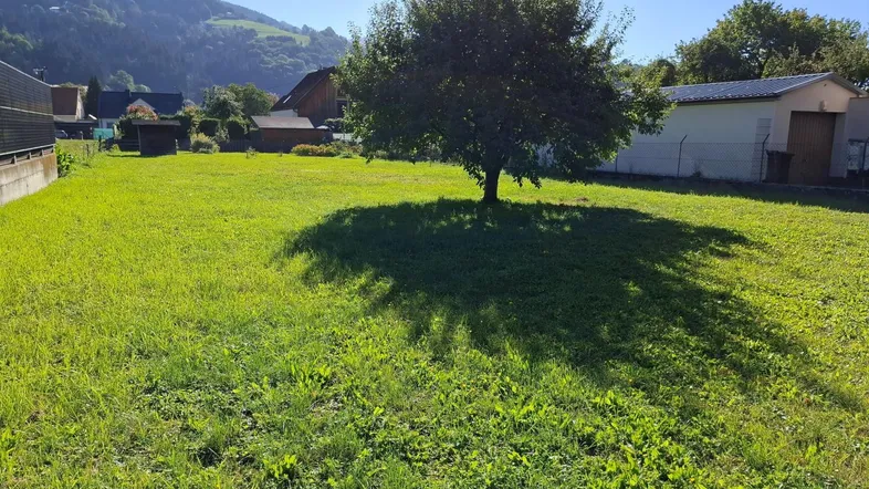 Große grüne Rasenfläche mit einem Baum und Blick auf die umliegende Berglandschaft an einem sonnigen Tag.