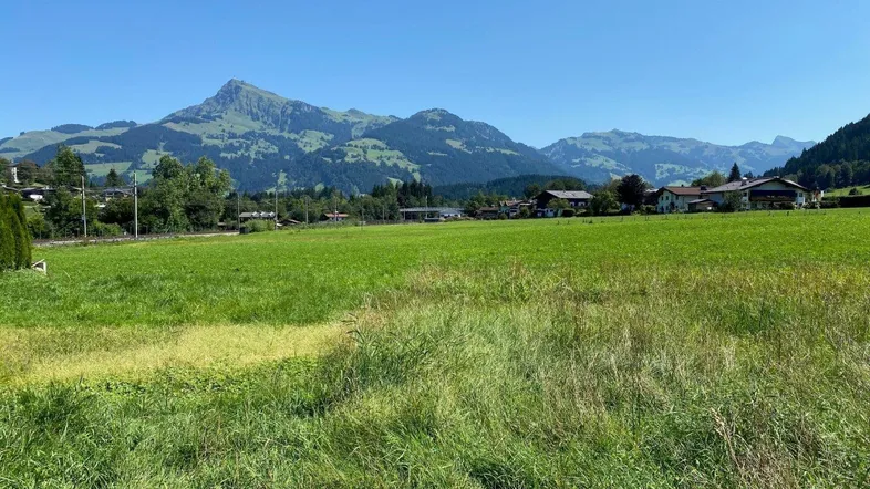 Weitläufige grüne Wiesenlandschaft mit majestätischem Bergblick unter strahlend blauem Himmel.