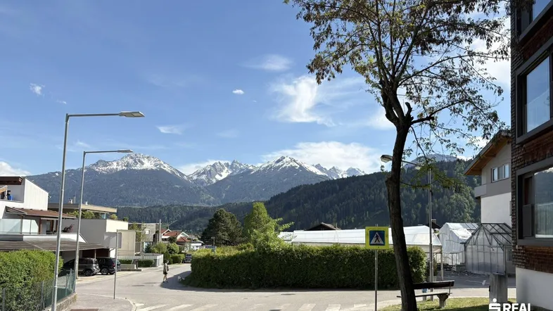 Straßenkreuzung mit einem Baum und Häusern, im Hintergrund erheben sich majestätische Berge.
