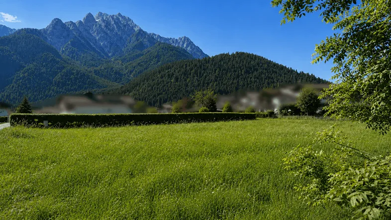 Weitläufige grüne Wiese mit Hecke und majestätischem Bergblick unter klarem blauem Himmel.