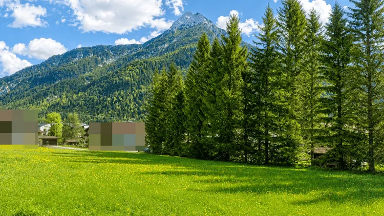 Grüne Wiese mit hohen Nadelbäumen und majestätischem Bergblick unter blauem Himmel.