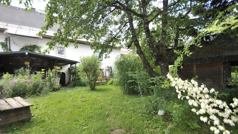 Gepflegter Gartenbereich mit Rasenfläche, Bäumen und Blick auf das Wohnhaus.