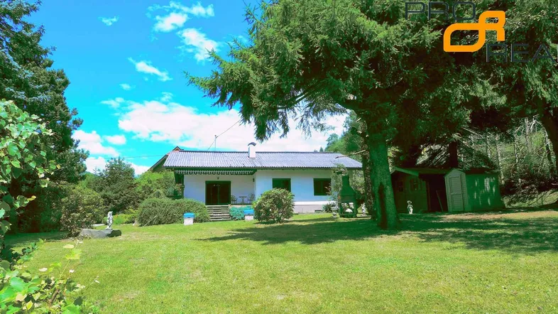 Großzügiger Gartenbereich mit Rasenfläche und altem Baumbestand vor dem Einfamilienhaus unter blauem Himmel.