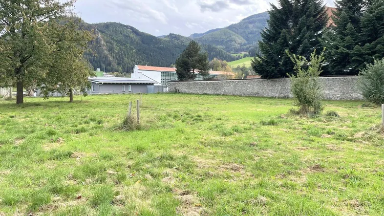 Weitläufige Grünfläche mit Bergblick, umgeben von einer Steinmauer und Bäumen.