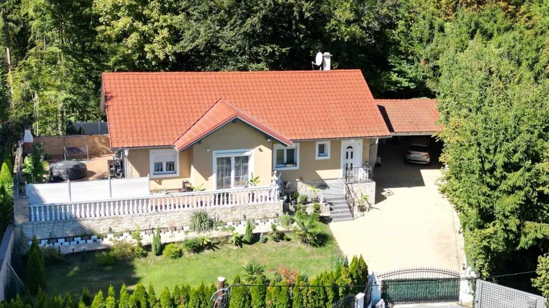 Luftaufnahme eines Einfamilienhauses mit rotem Ziegeldach, umgeben von viel Grün und Bäumen.