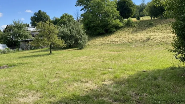 Grüne Wiese mit leichtem Hang und Bäumen unter blauem Himmel, im Hintergrund sind Gebäude zu erkennen.
