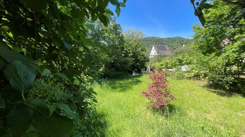 Grüner Gartenbereich mit Bäumen, Sträuchern und einem Haus im Hintergrund unter blauem Himmel.
