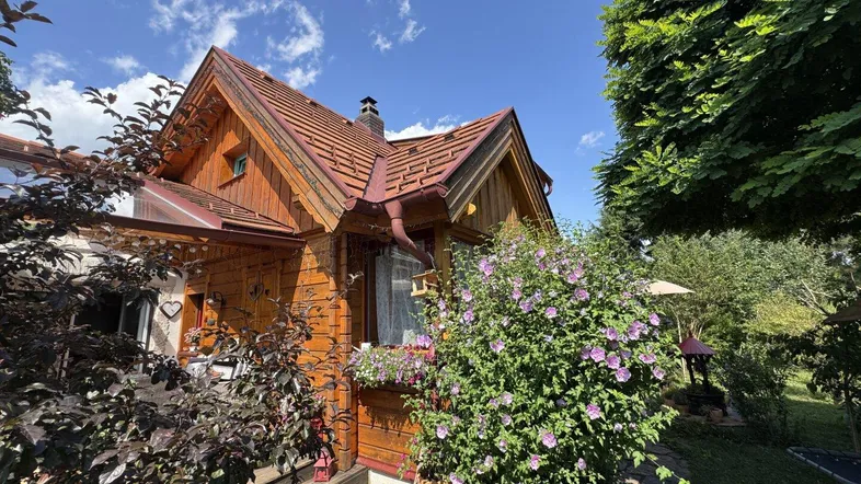Charmantes Holzhaus mit rotem Ziegeldach und blühenden Sträuchern unter blauem Himmel.