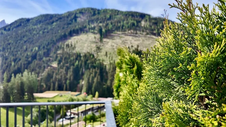 Nahaufnahme von grünen Pflanzen auf einem Balkon mit weitem Blick auf die Berglandschaft.