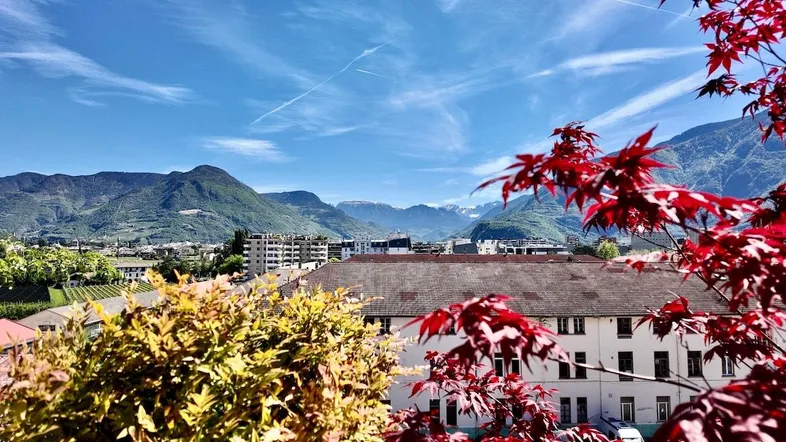 Blick auf die umliegende Berglandschaft und die Stadt mit roten Herbstblättern im Vordergrund.