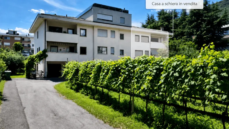 Reihenhaus mit begrüntem Eingangsbereich und Weinreben im Vordergrund unter blauem Himmel.