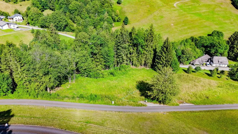 Luftaufnahme eines grünen Grundstücks mit Waldrand und einer Straße in ländlicher Umgebung.