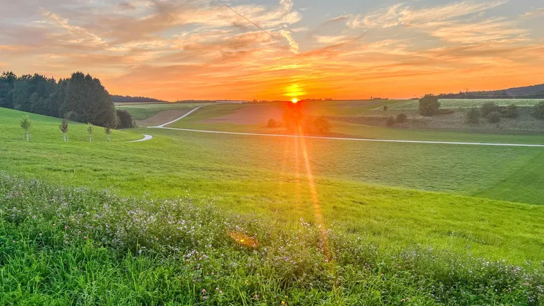 Atemberaubender Sonnenuntergang über weiten grünen Feldern und sanften Hügeln, der eine malerische Landschaft zeigt.