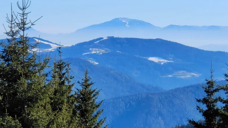 Panoramablick auf schneebedeckte Berge und weite Wälder unter klarem Himmel.