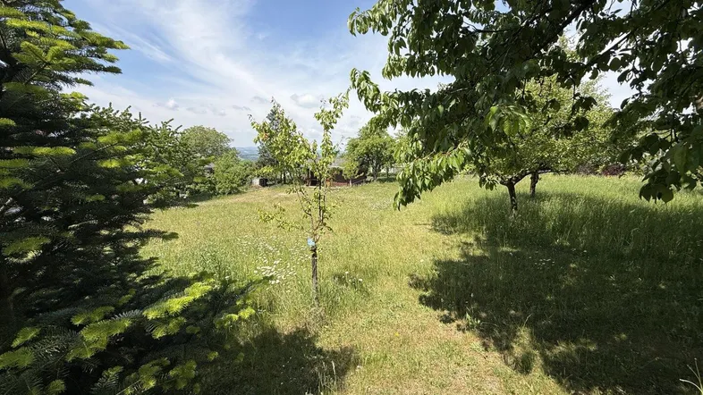 Weitläufige Grünfläche mit Bäumen und Blick auf die umliegende Landschaft unter blauem Himmel.