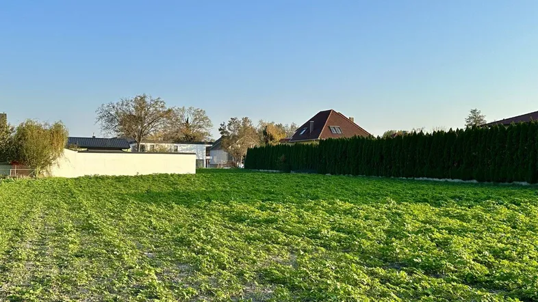 TOLLE GRÖSSE UND BEBAUBARKEIT /// Baugrundstück mit perfekter Infrastruktur nahe Schlosspark