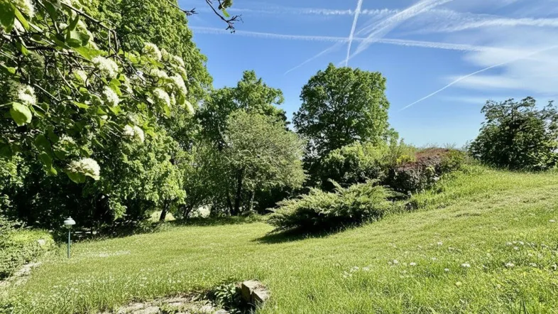 Grüner, weitläufiger Gartenbereich mit blühenden Bäumen und Sträuchern unter blauem Himmel.