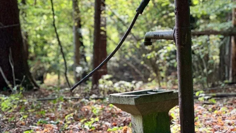 Alter Wasserbrunnen in einem Waldgebiet, umgeben von Herbstlaub und Bäumen.