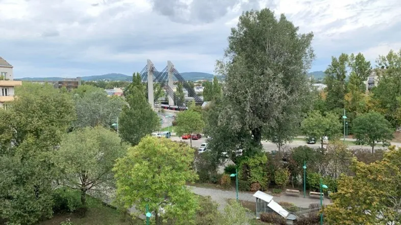 Weitläufiger Ausblick über grüne Bäume, eine Brücke und die umliegende Landschaft.