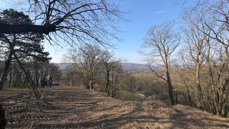 Exklusives Baugrundstück am Ölberg in Klosterneuburg – sonnige Hanglage mit spektakulärem Fernblick und altem Baumbestand