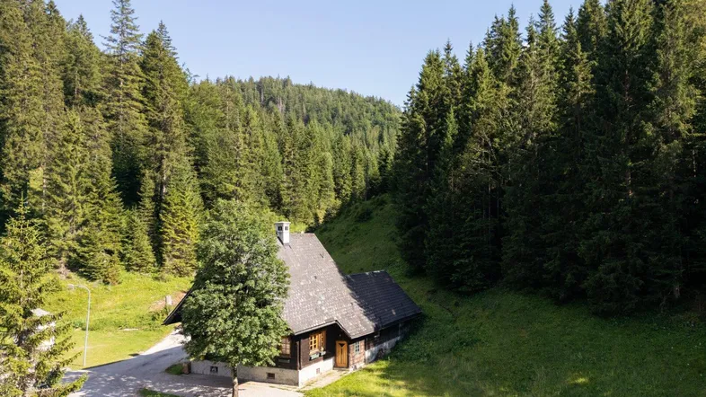 Haus in alpiner Umgebung, umgeben von dichten Wäldern und grünen Hügeln.