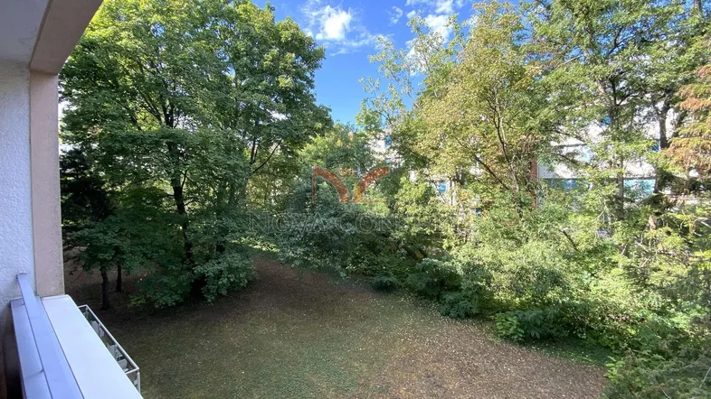 Grüner Ausblick von einem Balkon mit vielen Bäumen und natürlicher Umgebung.