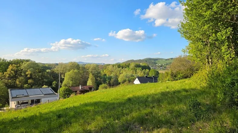 Hügelige Landschaft mit grünen Wiesen und Bäumen unter blauem Himmel, mit vereinzelten Häusern in der Ferne.