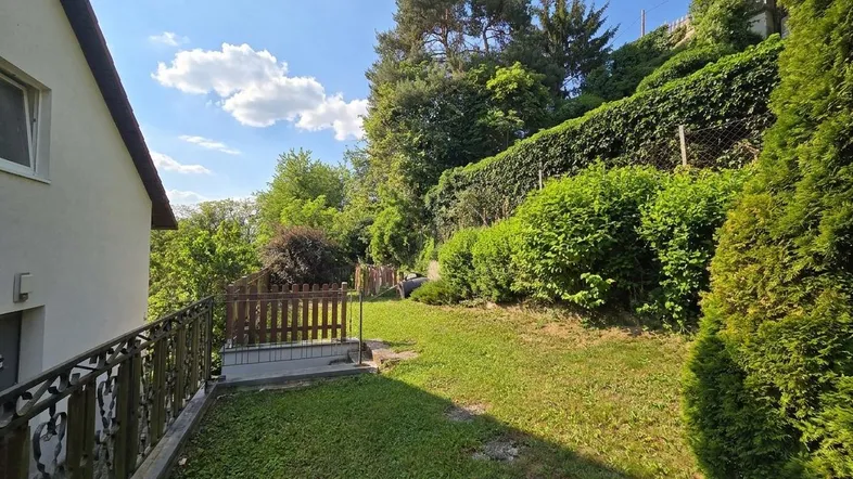 Sonniger Gartenbereich mit Rasenfläche, Hecken und einem kleinen Zaun, der zum Haus führt.