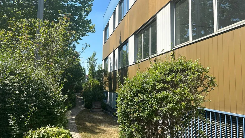Seitenansicht eines Gebäudes mit brauner und weißer Fassade, umgeben von üppigem Grün und einem schmalen Pfad.