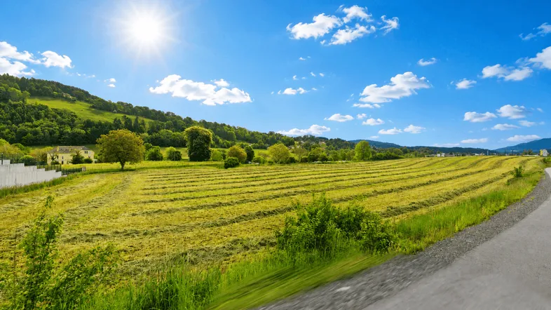 Sonnige Landschaft mit frisch gemähten Feldern und grünen Hügeln unter blauem Himmel.