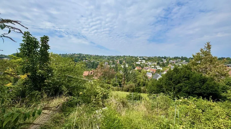 Weitläufiger Blick über eine grüne Hügellandschaft mit Siedlungshäusern am Horizont unter bewölktem Himmel.